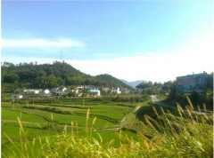 h(hun)a(chn)I(y)SC h(yun)eŬoB(ti)h(hun)