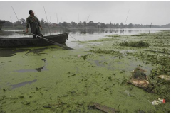 安徽合肥的“母親河”南淝河被污染嚴重(圖) 安徽合肥的“母親河”南淝河被污染嚴重(圖)