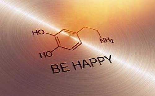 多巴胺 多巴胺