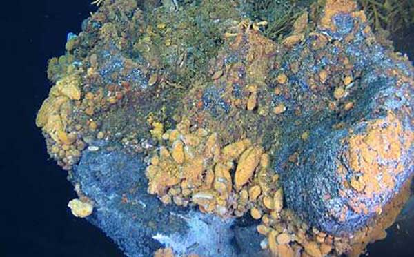 什么是硫化物 什么是硫化物