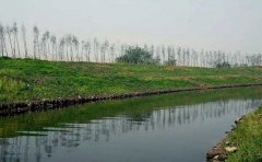 回顧2012鎮(zhèn)江水污染 礦泉水賣瘋了 回顧2012鎮(zhèn)江水污染 礦泉水賣瘋了