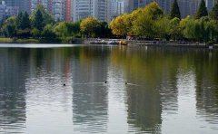 一種新型湖水凈化技術 一種新型湖水凈化技術