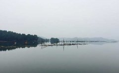 湘江水污染現(xiàn)狀及湘江水污染照片 湘江水污染現(xiàn)狀及湘江水污染照片