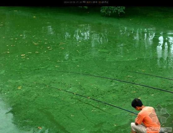 中國水污染問題很嚴(yán)重 帶您簡單看幾個(gè)案例 中國水污染問題很嚴(yán)重 帶您簡單看幾個(gè)案例