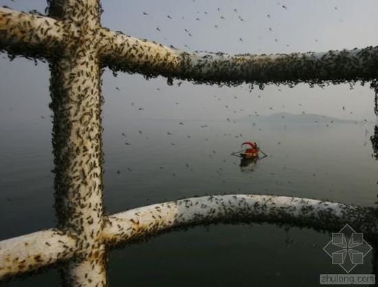 中國水污染問題很嚴(yán)重 帶您簡單看幾個(gè)案例 中國水污染問題很嚴(yán)重 帶您簡單看幾個(gè)案例