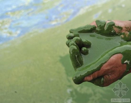 中國水污染問題很嚴(yán)重 帶您簡單看幾個(gè)案例 中國水污染問題很嚴(yán)重 帶您簡單看幾個(gè)案例