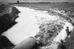 2014年黃河河段:一半以上嚴重污染(圖文) 2014年黃河河段:一半以上嚴重污染(圖文)