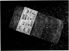 污泥制磚技術 污泥制磚技術